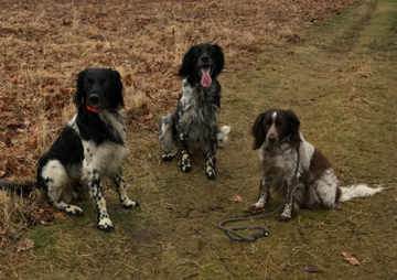 Stap 2 - Setup slider