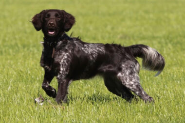 Stap 3 - Homepage maken